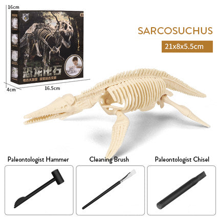 Dinosaur Excavation Kit