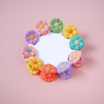 Colourful Mini Hair Claw Set