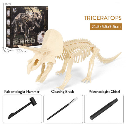 Dinosaur Excavation Kit